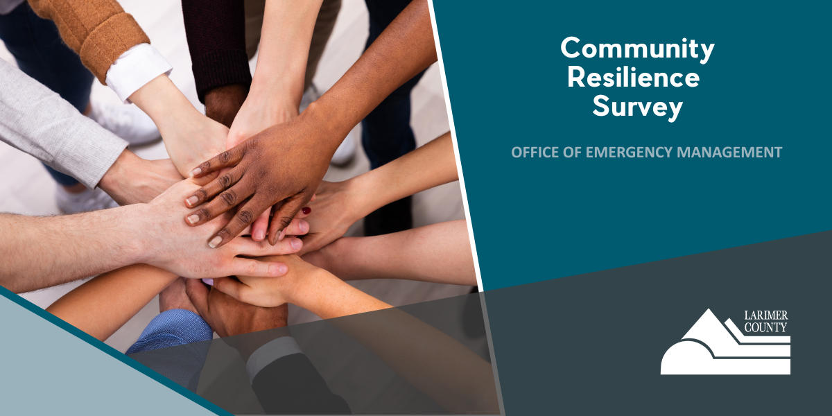 Featured image for Resilience Survey